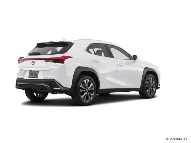 2019 Lexus UX 200 Vehicle Photo in Dallas, TX 75209