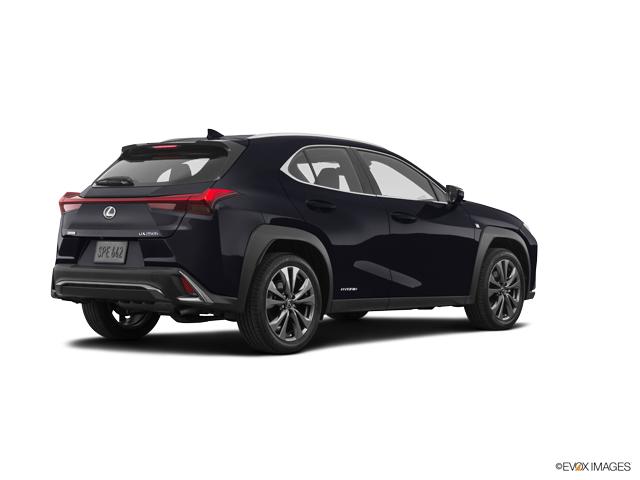 2019 Lexus UX 250h Vehicle Photo in Dallas, TX 75209