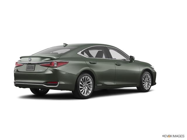 2019 Lexus ES 300h Vehicle Photo in Fort Worth, TX 76132