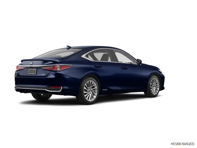 2019 Lexus ES 300h Vehicle Photo in Fort Worth, TX 76132