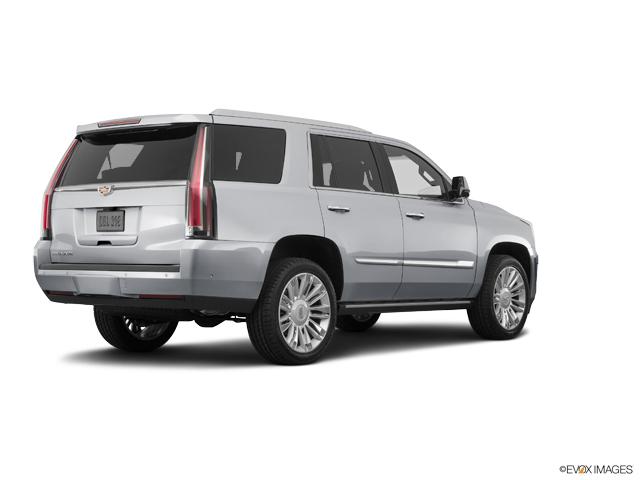 2019 Cadillac Escalade Vehicle Photo in San Antonio, TX 78230