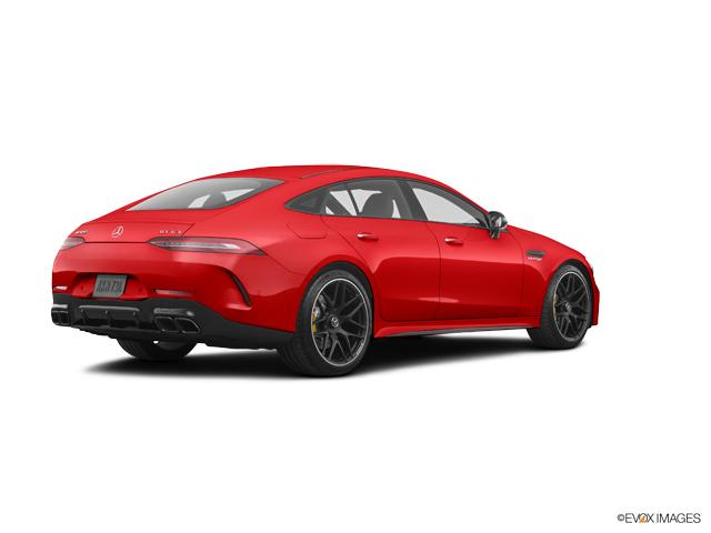2019 Mercedes-Benz AMG GT Vehicle Photo in Houston, TX 77079