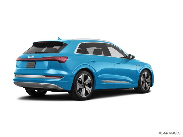 2019 Audi e-tron Vehicle Photo in Houston, TX 77090