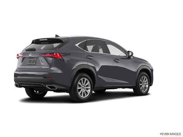 2020 Lexus NX Vehicle Photo in Fort Worth, TX 76132