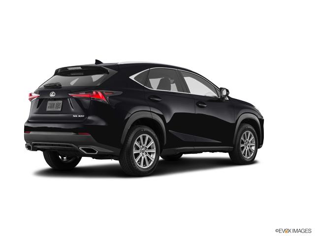 2020 Lexus NX Vehicle Photo in Dallas, TX 75209