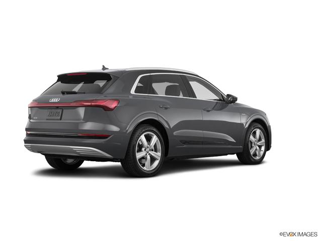 2019 Audi e-tron Vehicle Photo in Houston, TX 77090