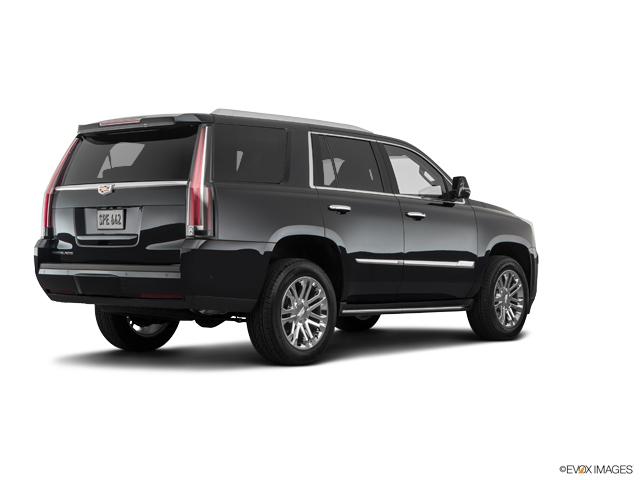 2020 Cadillac Escalade Vehicle Photo in San Antonio, TX 78230