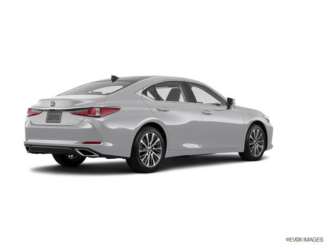 2020 Lexus ES Vehicle Photo in Fort Worth, TX 76132