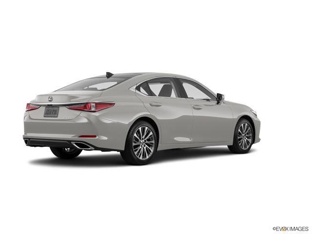 2020 Lexus ES Vehicle Photo in Fort Worth, TX 76132