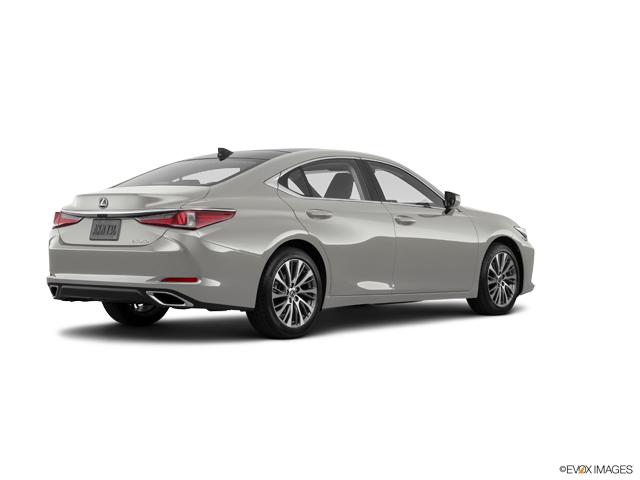 2020 Lexus ES Vehicle Photo in Fort Worth, TX 76132