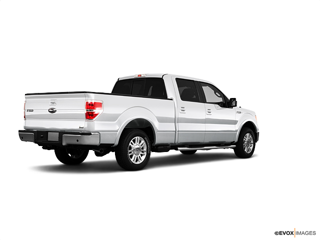 2010 Ford F-150 Vehicle Photo in Dallas, TX 75209
