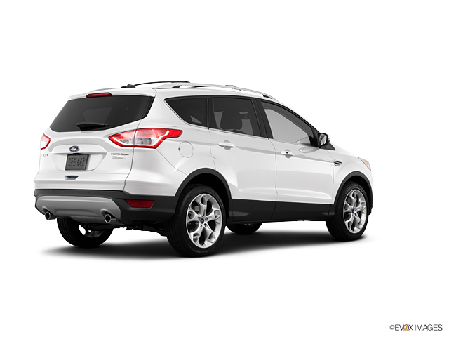 2013 Ford Escape Vehicle Photo in Janesville, WI 53545