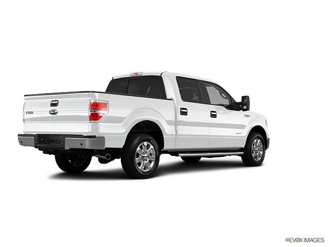 2013 Ford F-150 Vehicle Photo in Dallas, TX 75209