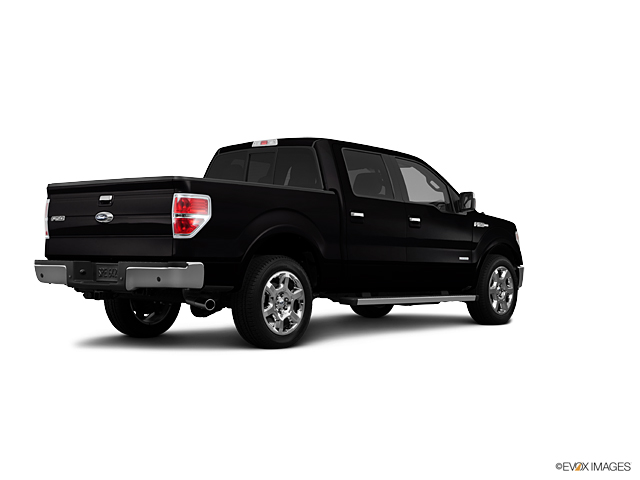 2013 Ford F-150 Vehicle Photo in Dallas, TX 75209
