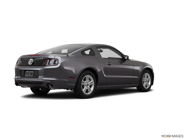 Olympia Auto Mall >> 2014 Ford Mustang for sale in Olympia - 1ZVBP8AM4E5333393 - Titus-Will Olympia Auto Mall >> 2014 Ford Mustang for sale in Olympia - 1ZVBP8AM4E5333393 - Titus-Will