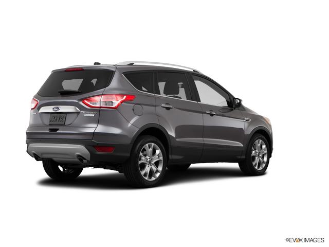2014 Ford Escape Vehicle Photo in Janesville, WI 53545