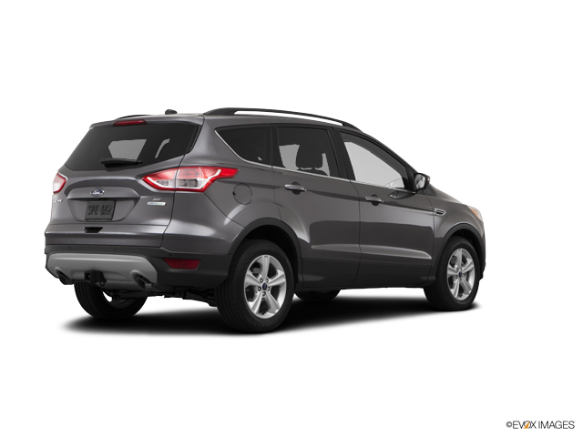 2014 Ford Escape Vehicle Photo in Janesville, WI 53545