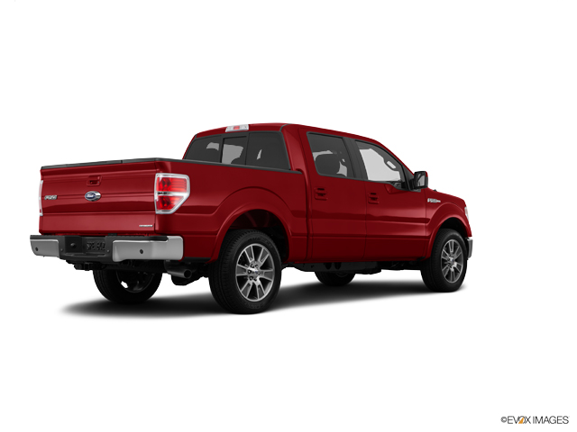 2014 Ford F-150 Vehicle Photo in Dallas, TX 75209