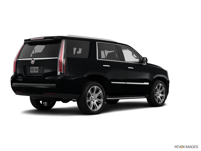 2015 Cadillac Escalade Vehicle Photo in San Antonio, TX 78230