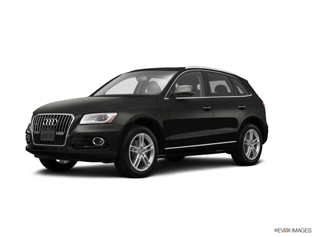 2015 Audi Q5 Vehicle Photo in McKinney, TX 75070