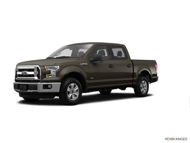2015 Ford F-150 Vehicle Photo in Independence, MO 64055
