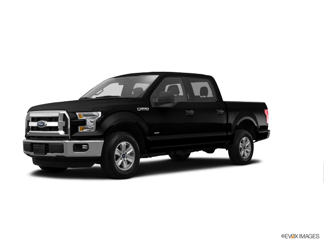 2015 Ford F-150 Vehicle Photo in North Canton, OH 44720