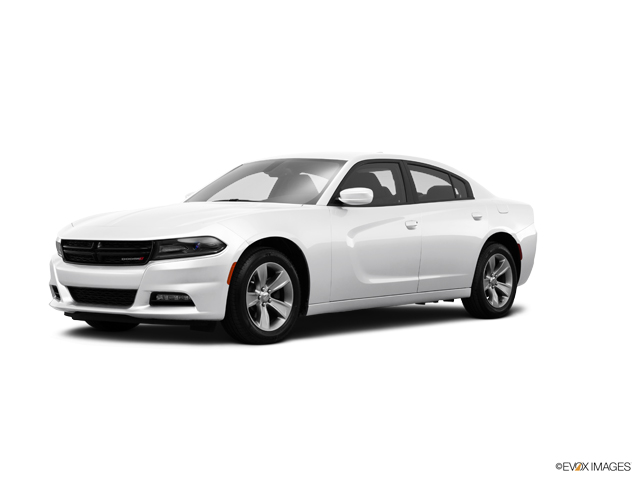 2015 Dodge Charger Vehicle Photo in Williamsville, NY 14221
