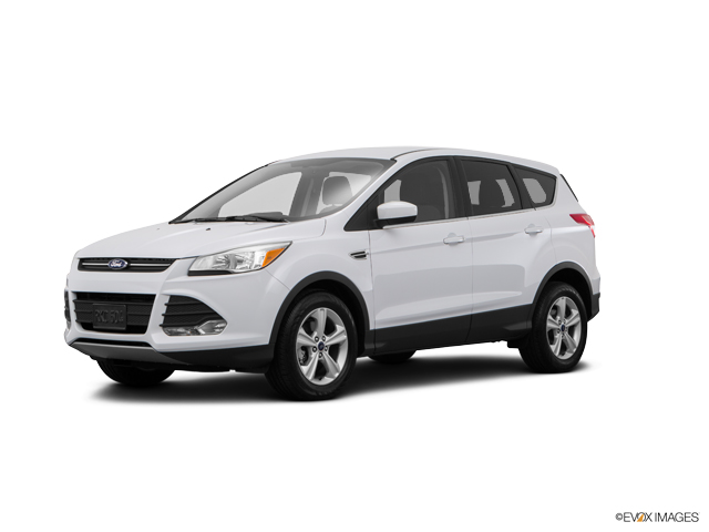2015 Ford Escape Vehicle Photo in Janesville, WI 53545