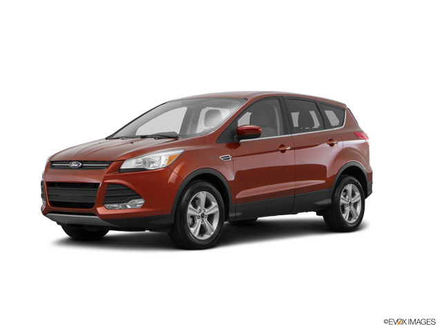 2016 Ford Escape Vehicle Photo in Janesville, WI 53545