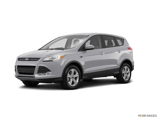 2016 Ford Escape Vehicle Photo in Temple, TX 76502