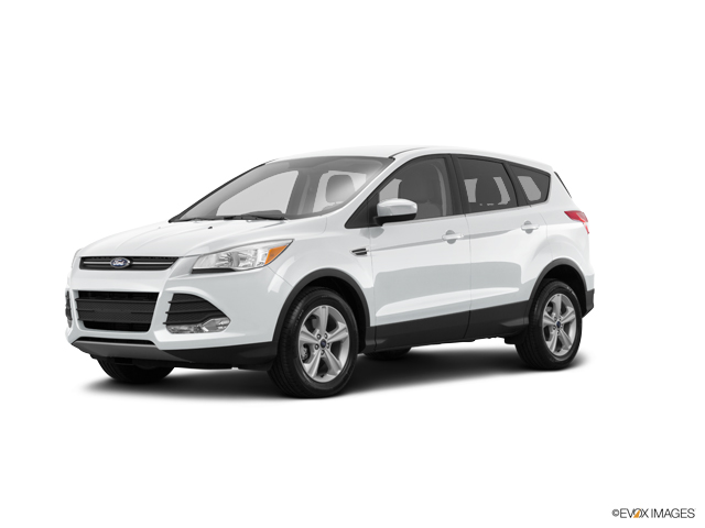 2016 Ford Escape Vehicle Photo in Janesville, WI 53545