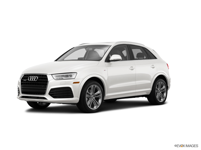 2016 Audi Q3 Vehicle Photo in Allentown, PA 18103