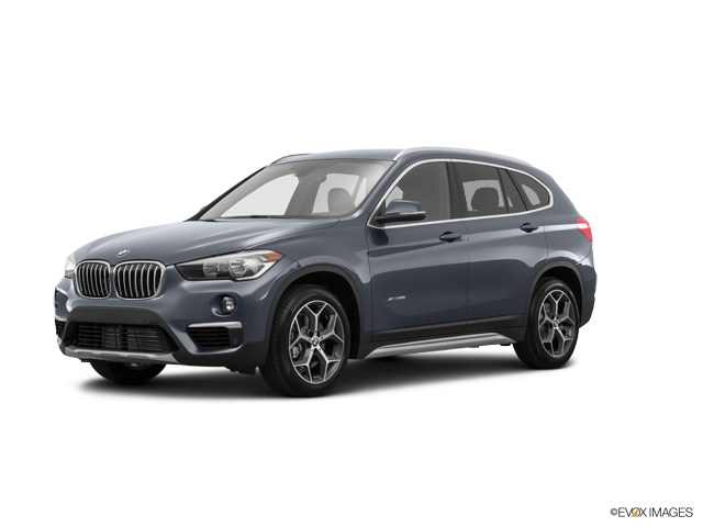 2016 BMW X1 xDrive28i Vehicle Photo in Charleston, SC 29407