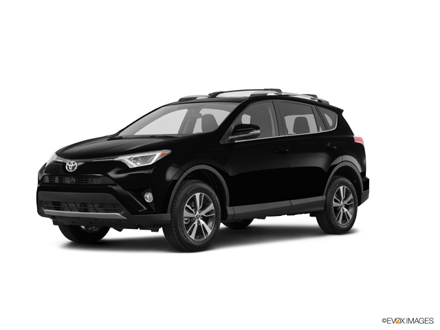 2016 Toyota RAV4 Vehicle Photo in Athens, GA 30606