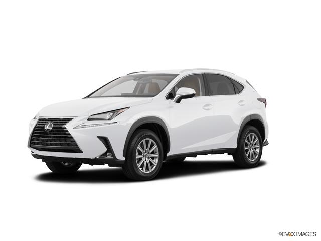 2019 Lexus NX 300 Vehicle Photo in Fort Worth, TX 76132