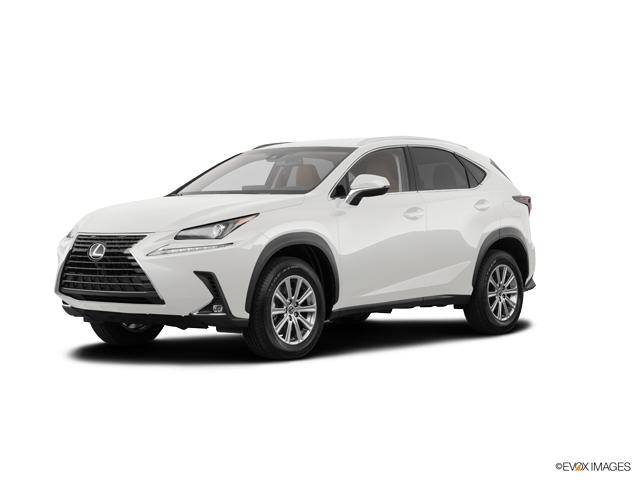 2019 Lexus NX 300 Vehicle Photo in Dallas, TX 75209