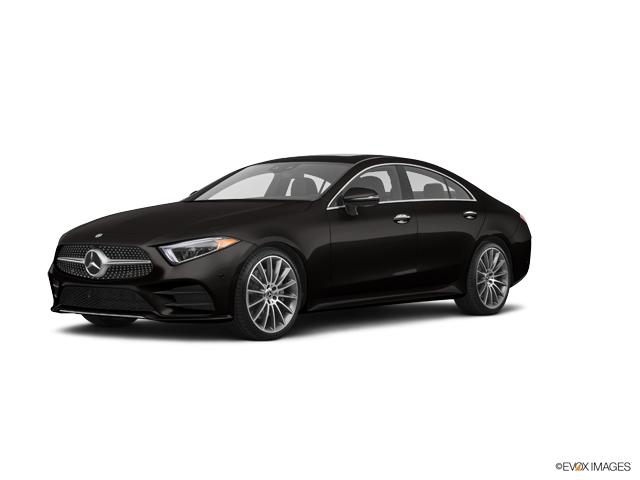 2019 Mercedes-Benz CLS Vehicle Photo in Houston, TX 77079
