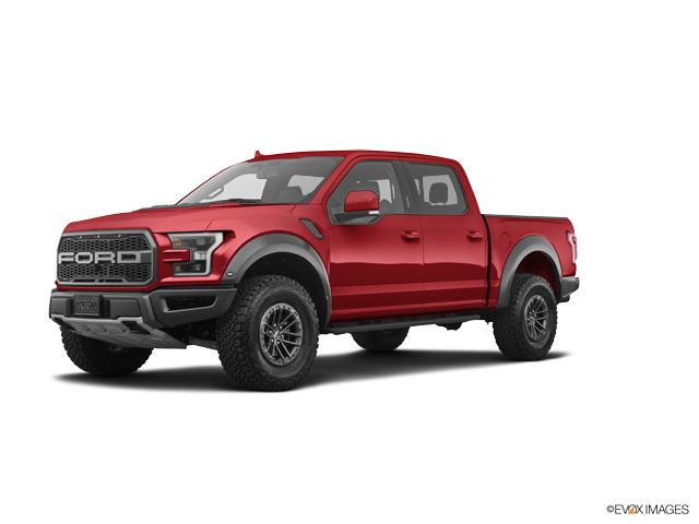 2019 Ford F-150 Vehicle Photo in Denver, CO 80123