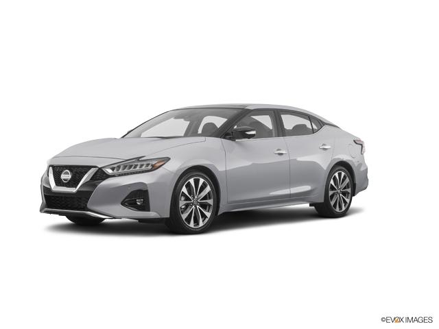 2019 Nissan Maxima Vehicle Photo in Bedford, TX 76022