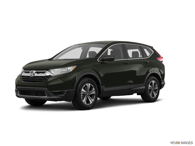 2019 Honda CR-V Vehicle Photo in Manassas, VA 20109
