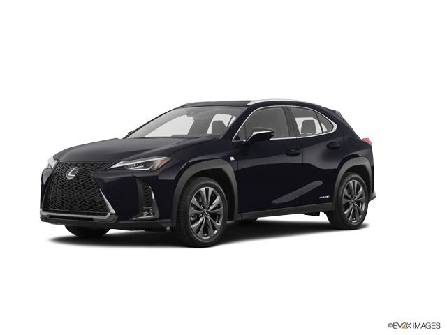 2019 Lexus UX 250h Vehicle Photo in Dallas, TX 75209