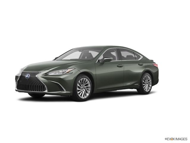 2019 Lexus ES 300h Vehicle Photo in Fort Worth, TX 76132