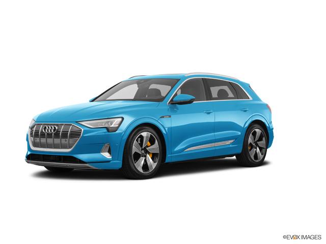 2019 Audi e-tron Vehicle Photo in Houston, TX 77090