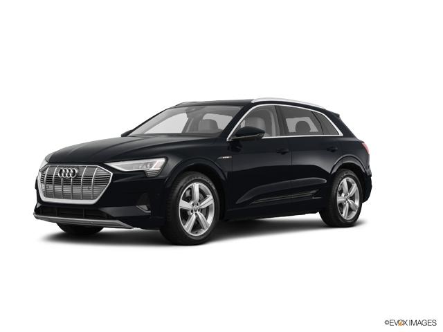 2019 Audi e-tron Vehicle Photo in Allentown, PA 18103