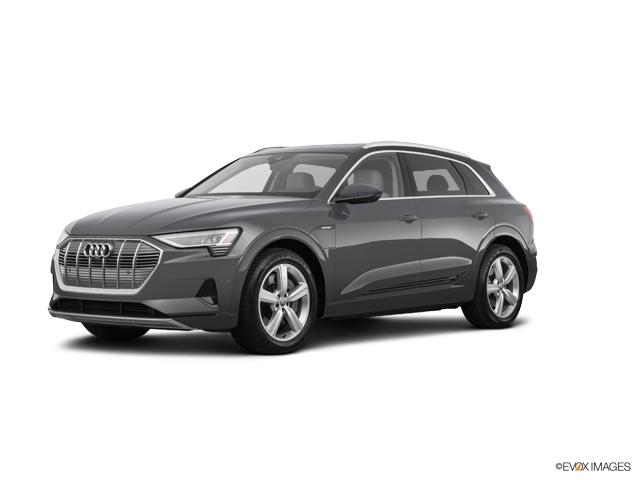 2019 Audi e-tron Vehicle Photo in Houston, TX 77090