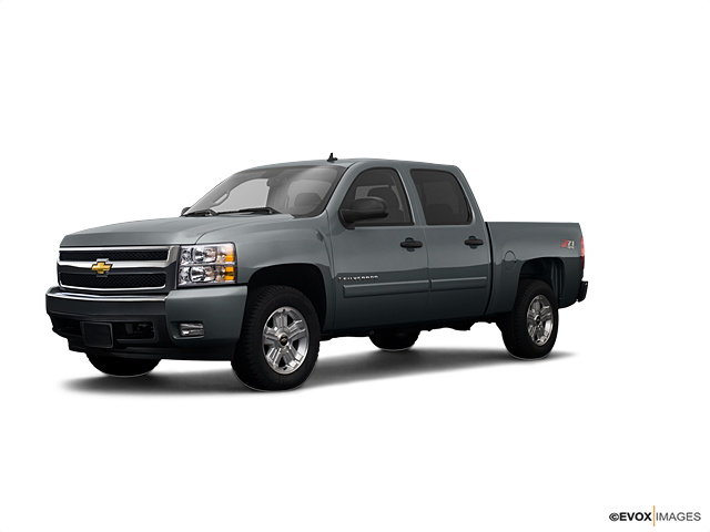 2008 Chevrolet Silverado 1500 Vehicle Photo in Medina, OH 44256