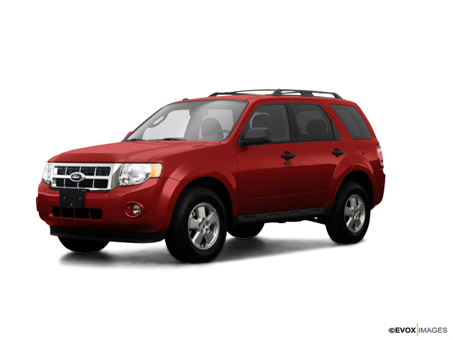 2009 Ford Escape Vehicle Photo in Independence, MO 64055