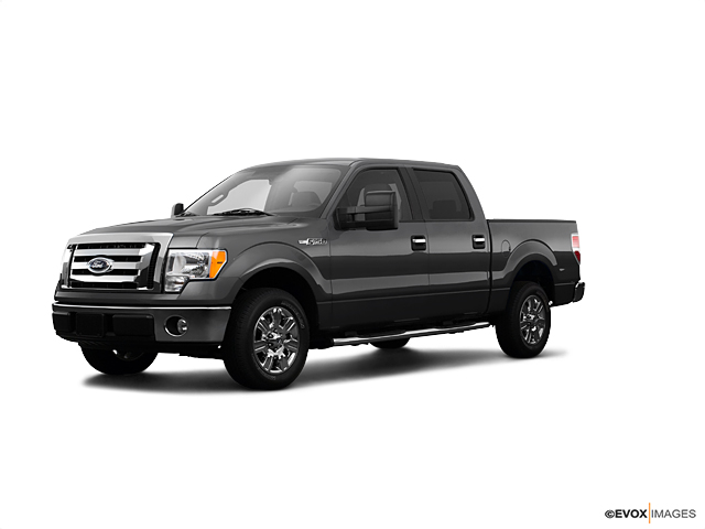 Select 2009 Ford F-150