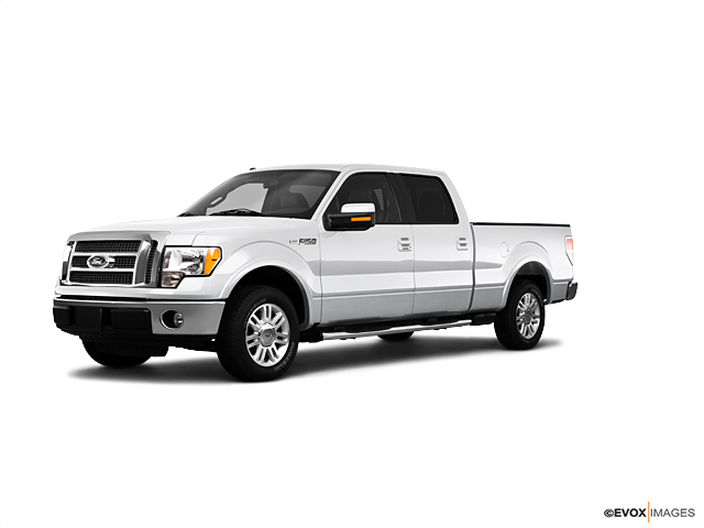 2010 Ford F-150 Vehicle Photo in Dallas, TX 75209