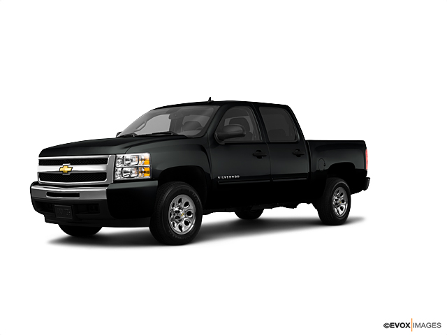 2010 Chevrolet Silverado 1500 Vehicle Photo in Houghton, MI 49931